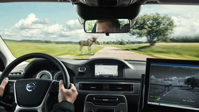 Illustration for article titled Volvo Shows Off The Latest In Cutting-Edge Moose Evasion Technology